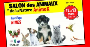 Affiche AnîmoX les 12 et 13 mars 2022 au Parc Expo de Nîmes