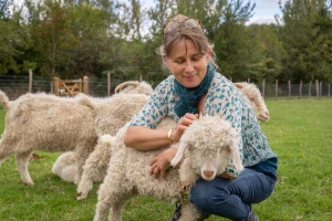 Affiche Ver'laine Mohair vous ouvre ses portes les 6 et 7 juin ! [Quinzaine des produits Bio et Régionaux]