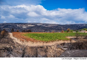 Le mégafeu dans l'Aude a détruit plus de 16 000 hectares cet été