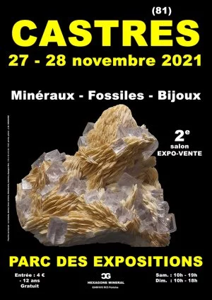 Affiche 2e salon minéraux fossiles bijoux de Castres (Tarn)