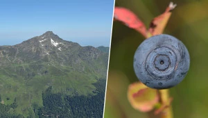 Affiche L'étage alpin, un témoignage glaciaire en sursis