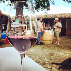 Affiche Autour d'un verre - Visite et dégustation en compagnie des vignerons de Terres de Gaillac