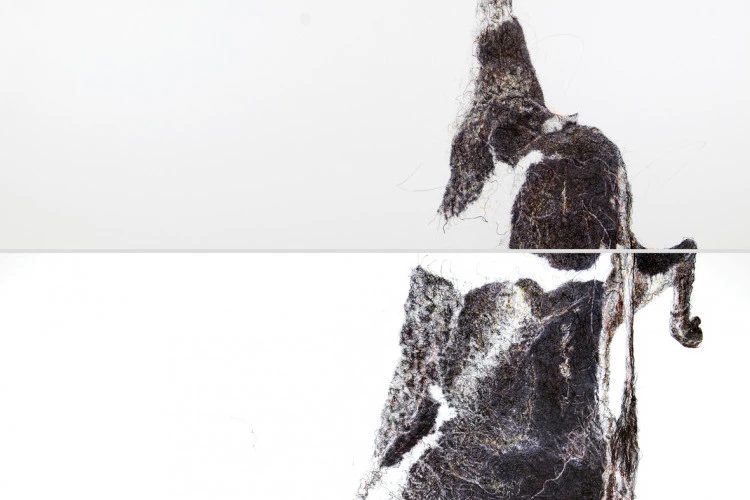 La Vache - encre et dessin numérique, 300x150