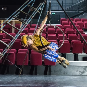 Affiche La compagnie di'elles - Tôle story