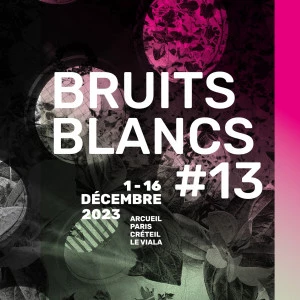 Affiche BRUITS BLANCS #13