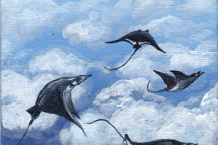 l'envol - acrylique sur carton entoilé ; 10x10 cm, série 100cm2 "un monde surréaliste" pour le Carla BAyle et la galerie du Philosophe, inspirée par la visite du musée Magritte en Belgique, lors de mon exposition à Bruxelles - Emeline Cella 