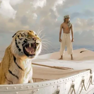 Affiche Cinéma plein-air : l'Odyssée de Pi