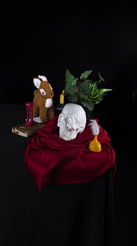 Affiche L'empreinte de la biche