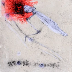 Les sauvageon.ne.s, une encyclopédie évanouie, leptogaster_cylindrica, 2026. - Les sauvageon.ne.s, une encyclopédie évanouie, leptogaster_cylindrica, 2026, dessin inversé, poudre de graphite, papier de soie, résine végétale, micro-billes de verre, sur papier Hahnemûle 640 g/m², 76 x 56 cm. - Bernard Rousseau 