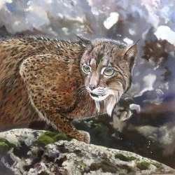 Sous la pluie - Huile sur toile - 80 x 80 cm