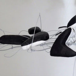 Les hirondelles - Suspension, plusieurs positions possibles