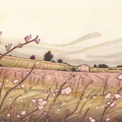 Minervois - Aquarelle et Crayon