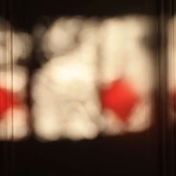 Ombres et reflets. Alexandre Bogdan - Photographie