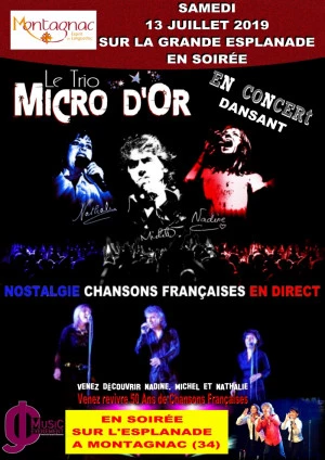 Affiche Concert dansant Gratuit chansons francaises Trio Micro d'or