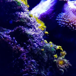Aqualand - Photographie numérique