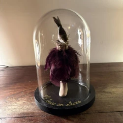 LE CABINET DE CURIOSITES : LE TRUC EN PLUMES - Globe verre, porcelaine et plumes