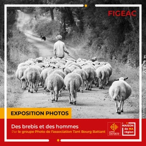 Affiche Exposition photos "Des brebis et des hommes"