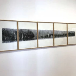 Petit Saut - Transferts photographiques, papier Canson, 30x105 cm - Éléna Salah 