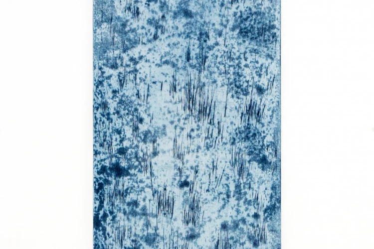 Palud - Burin sur plaque oxydée 60 x 40 cm - Caroline Garcia 