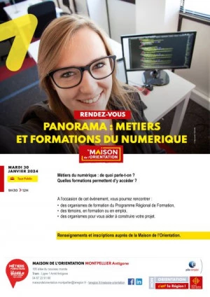 Affiche Panorama : Métiers et Formations du Numérique