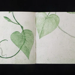 l'illumination des volubilis - livre d'artiste, gravure sur carton, reliure - Florence Margery 