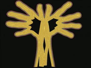 Affiche Vernissage / « The Lament of the Accolade Tree » de Shipsides & Beggs projects