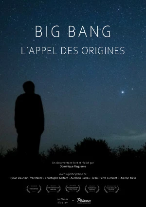 Affiche Big bang, l'appel des origines