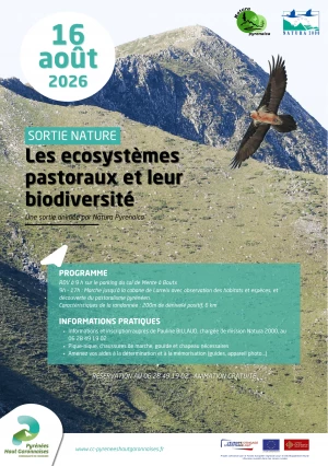 Affiche Sortie Nature - A la découverte des écosystèmes pastoraux et leur biodiversité 