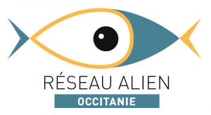 Affiche Sur les traces des globe-trotteurs du bord de mer