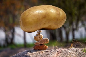 Affiche Exposition "Patate", d'Elise Carron, Céline Domengie, Babeth Rambault et Jean-Paul Thibeau