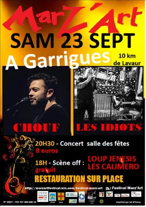 Affiche Festival Marz'Art