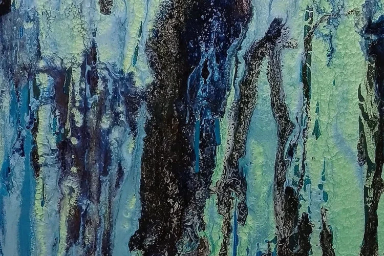 Cétacés endormis - Baleines à bosse - nyna Loupiac 