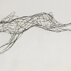 la chambre des sources, Galerie Kamila Regent- Reychler, Saignon 2022 - rosier banks, fil, encre de chine, 130 cm - violaine laveaux 