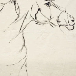 Sans titre - Séance de dessin aux Cabanelles