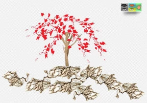 Affiche Accompagnement de projets théâtraux pro et amateurs- Stage