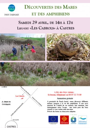 Affiche Découverte des mares et de leurs habitants