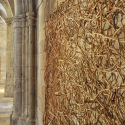 Grand entrelacs - Clématite, 2x2 m - FX Emery 