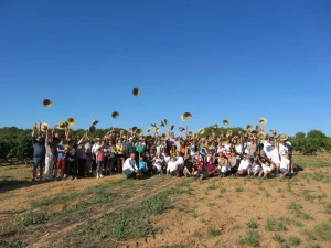 Affiche Vins, Vignes et Terroirs 2019