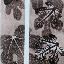 Fantaisies végétales, Promesse d'automne - monotype, encre sur papier