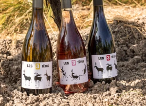 Affiche Les 3 Têtus vous donnent rendez-vous le 6 juin ! [Quinzaine des produits Bio et Régionaux]