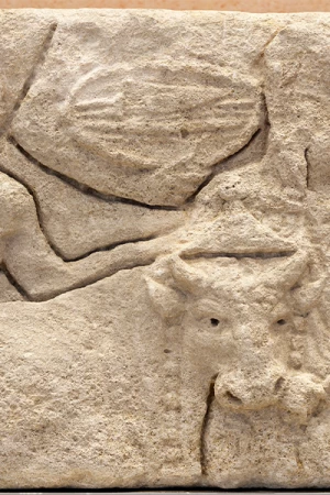 Affiche Visite : Rallye bestiaire