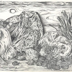 Paysage à la nature morte - 280 x 174 mm - portemines, crayons gras et gomme sur papier - Julien Lauber 