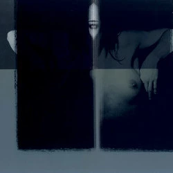  Série Anges Déchus - Nath Sapin 