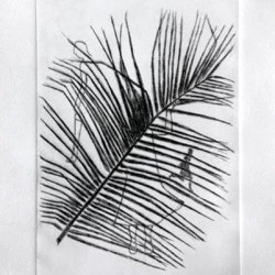 Palme - Tirage Gravure sur zinc-2018