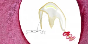 Affiche Visite découverte de l'exposition "Congés payés" de Io Burgard