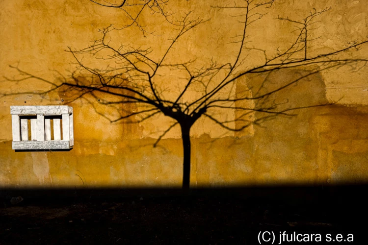 Knock on Wood - photo tirage HD sur toile avec chassis