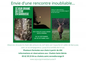 Affiche Brame du cerf