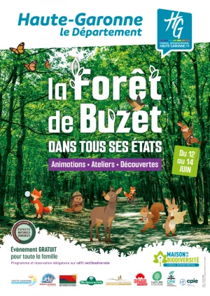Affiche La Forêt de Buzet dans tous ses états