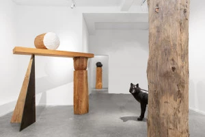 Affiche Exposition de Roland Cognet 