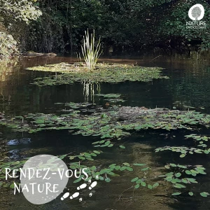 Affiche Sortie nature - La biodiversité des cours d'eau à la loupe